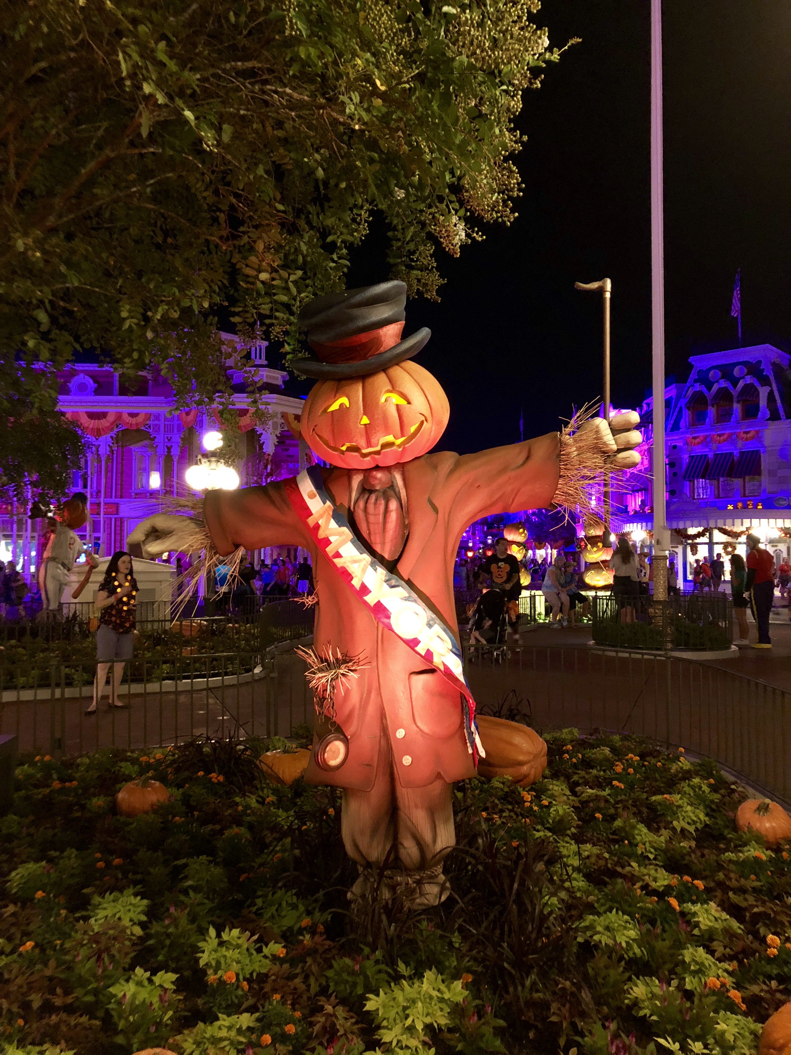 IMG_1419.jpeg