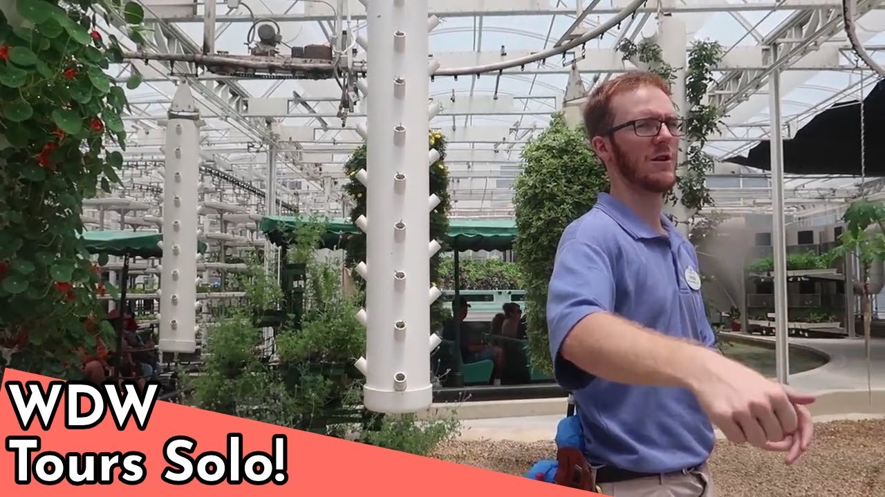 Monorail News