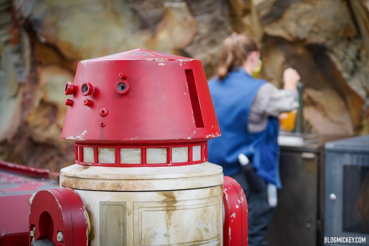 Droid Carts Serving Up Gold Squadron Lager At Star Wars: Galaxy's Edge