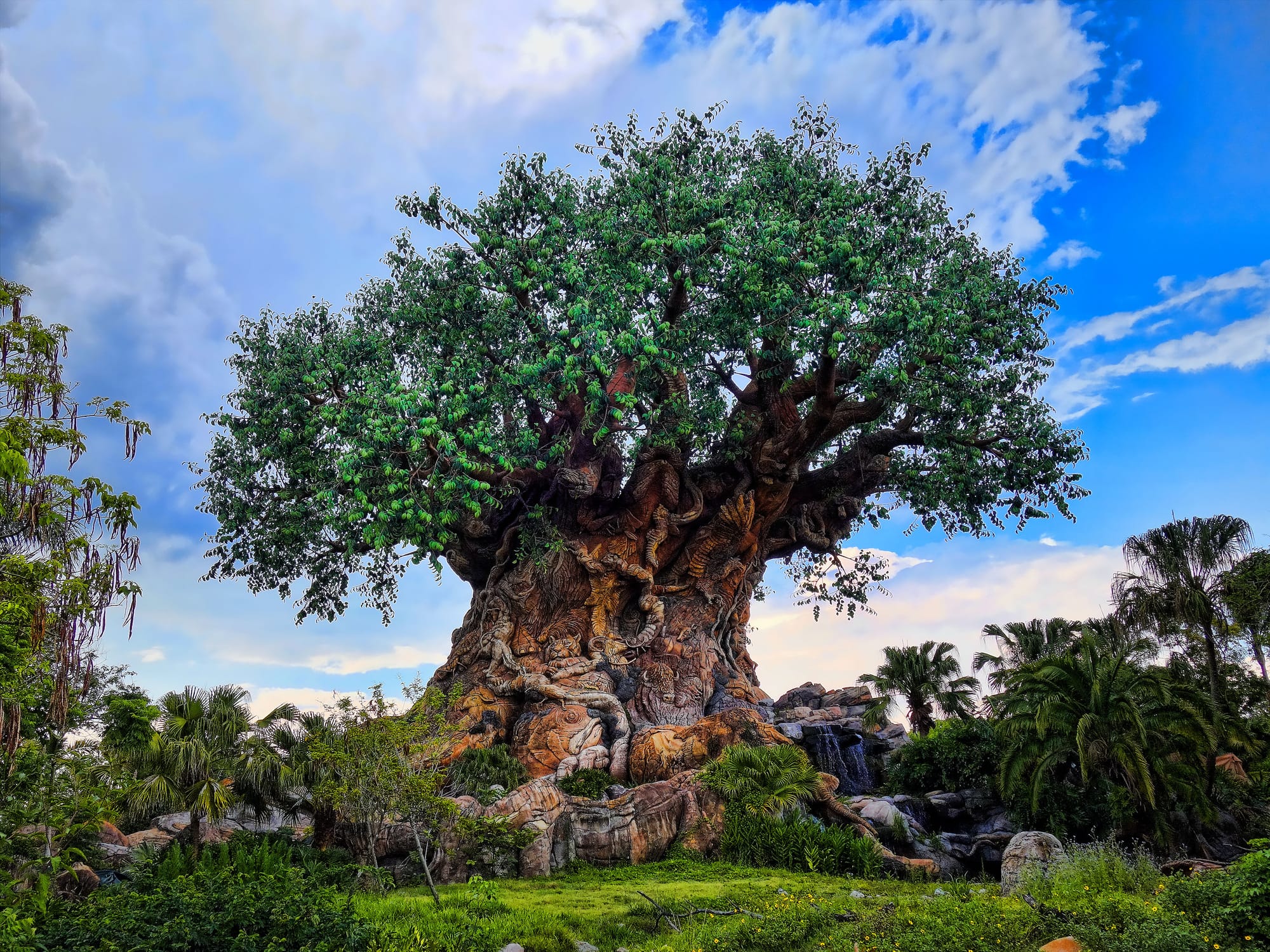Animal Kingdom Extra Magic Hours CHANGED