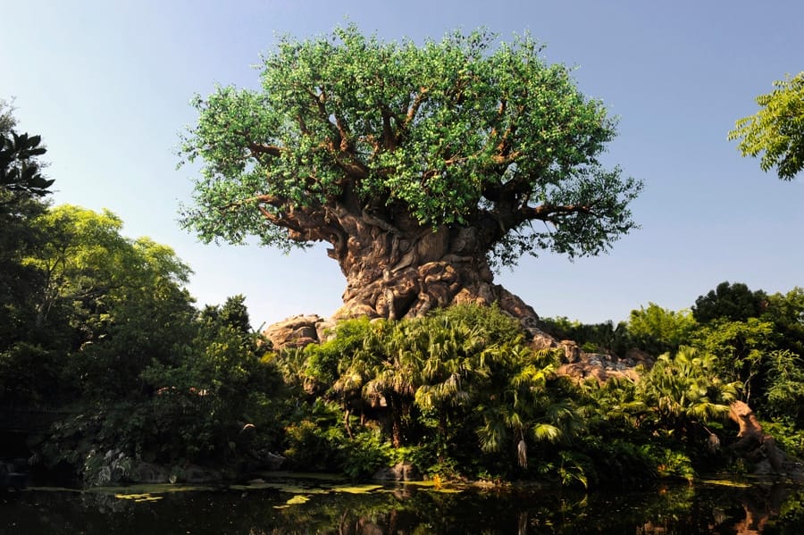 Guest Threatened with Semi-Automatic Handgun in Disney's Animal Kingdom Parking Lot