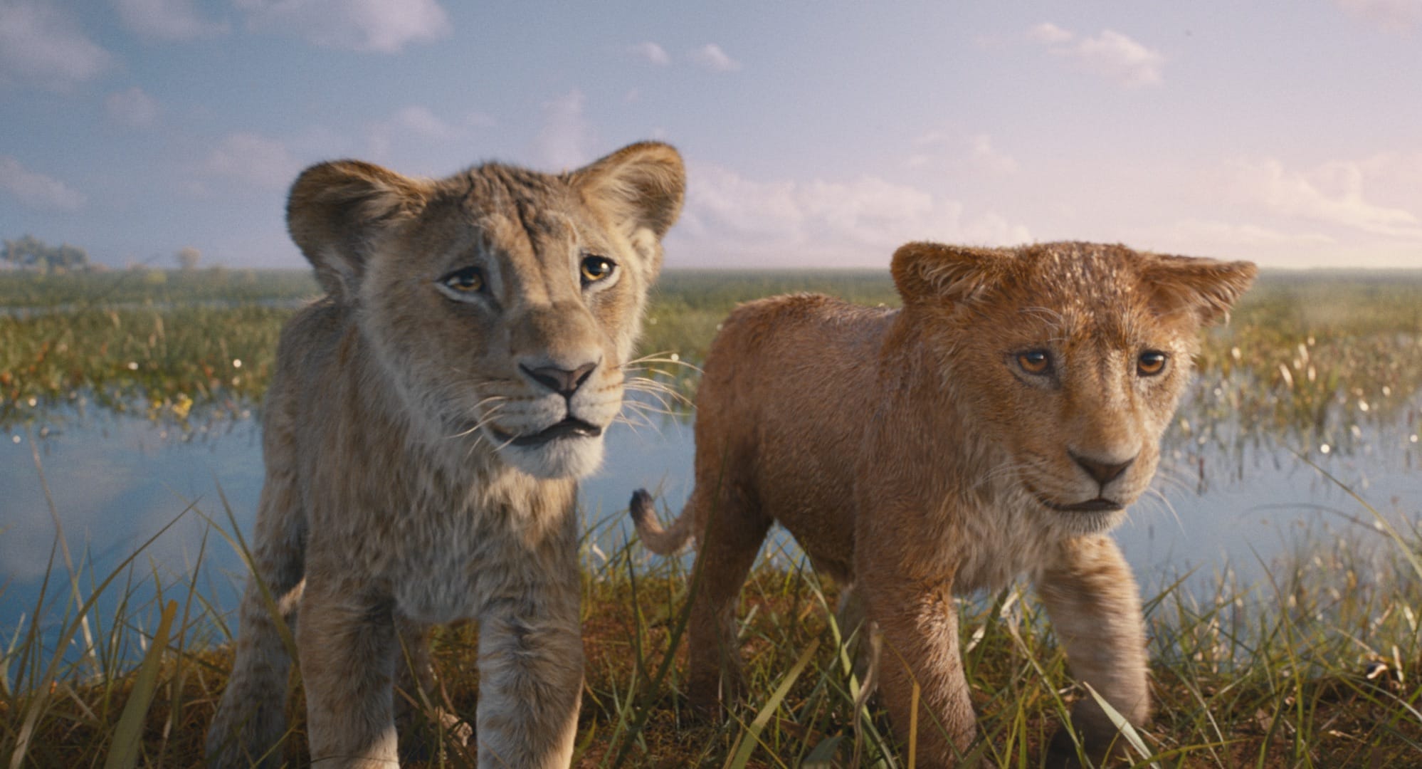 Watch the Trailer For Disney’s ‘Mufasa: The Lion King’