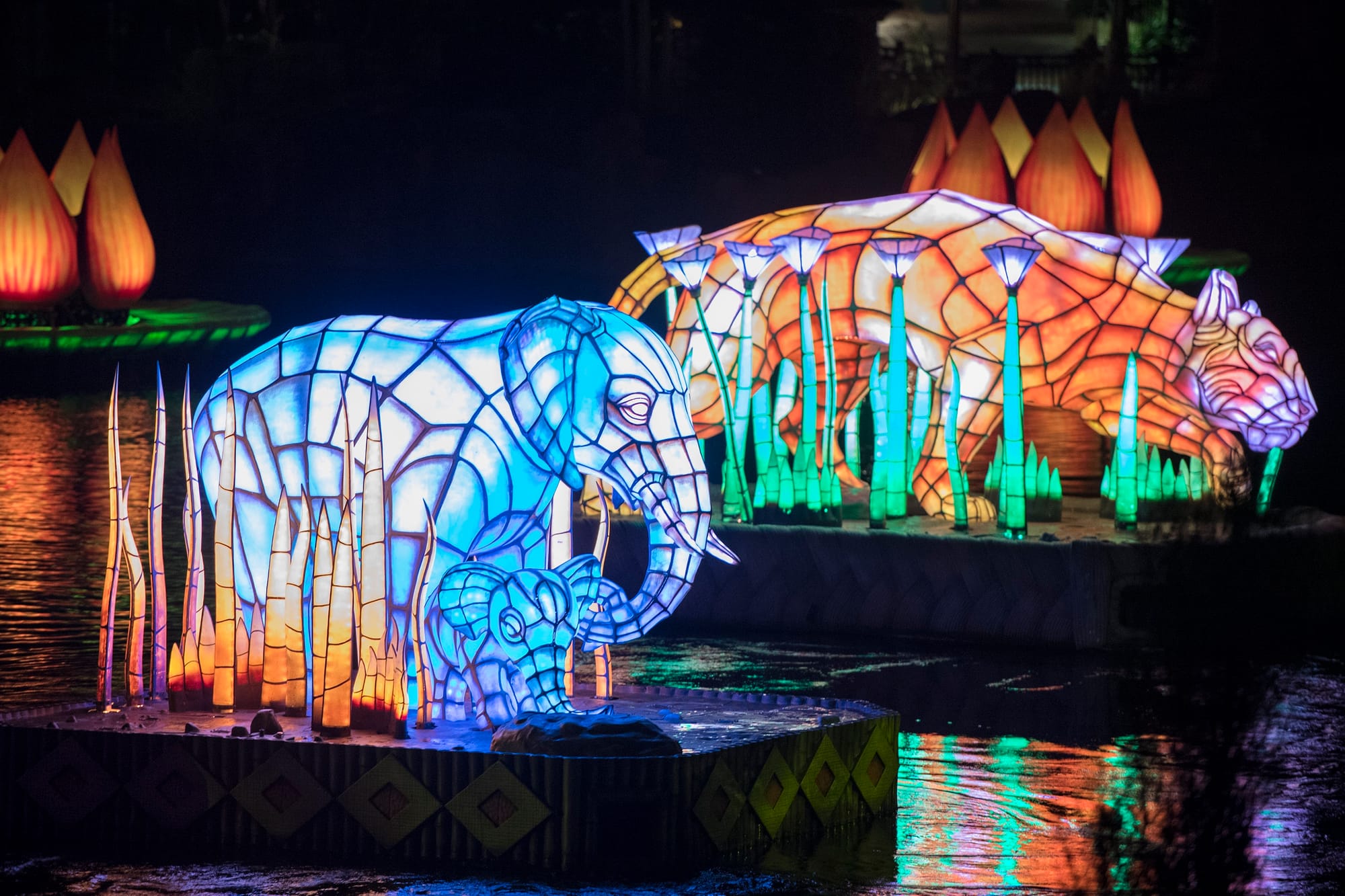 VIDEO: Select Scenes From Disney's New "Rivers of Light: We Are One"