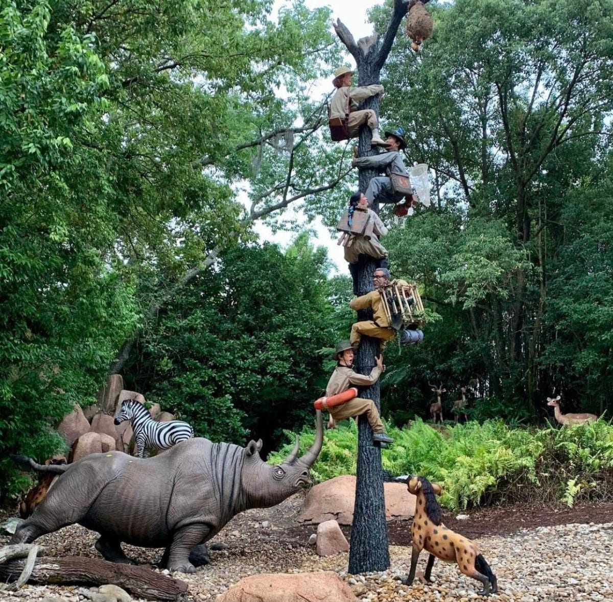 New Trapped Safari Scene Debuts on the Jungle Cruise at Magic Kingdom
