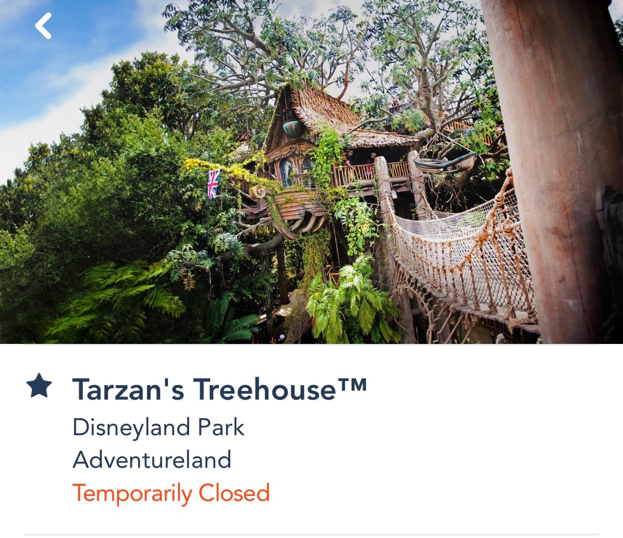 BREAKING: Tarzan’s Tree House at Disneyland Park Forced to Emergency Close