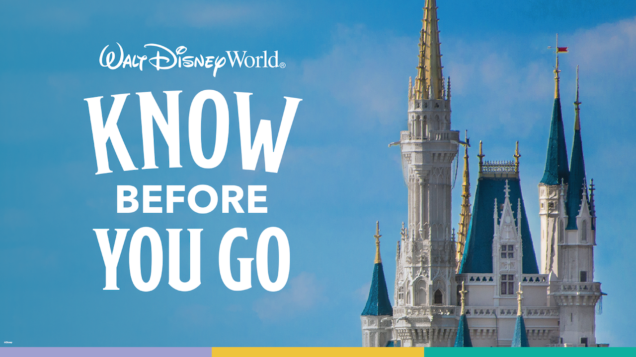 Everything You Need to Know About Walt Disney World Theme Park Reservations