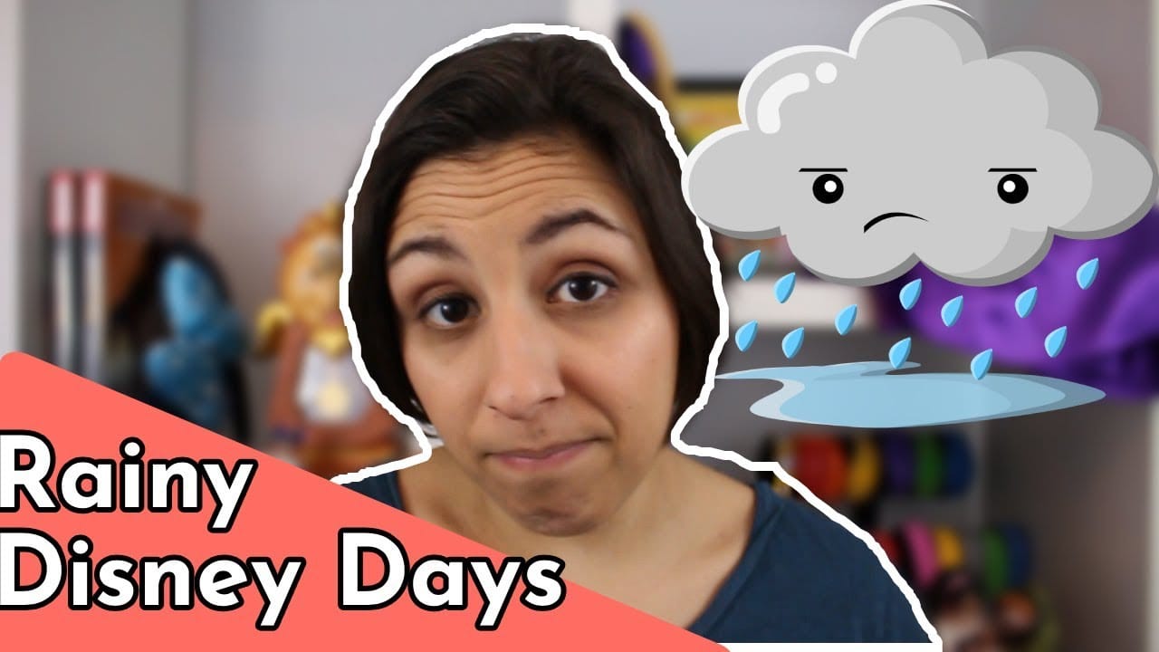5 Rainy Day Disney World Tips