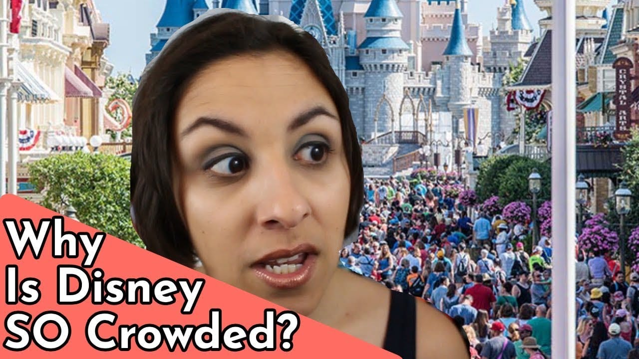 Why Is there No More Low Crowd/Slow Season in Disney World?