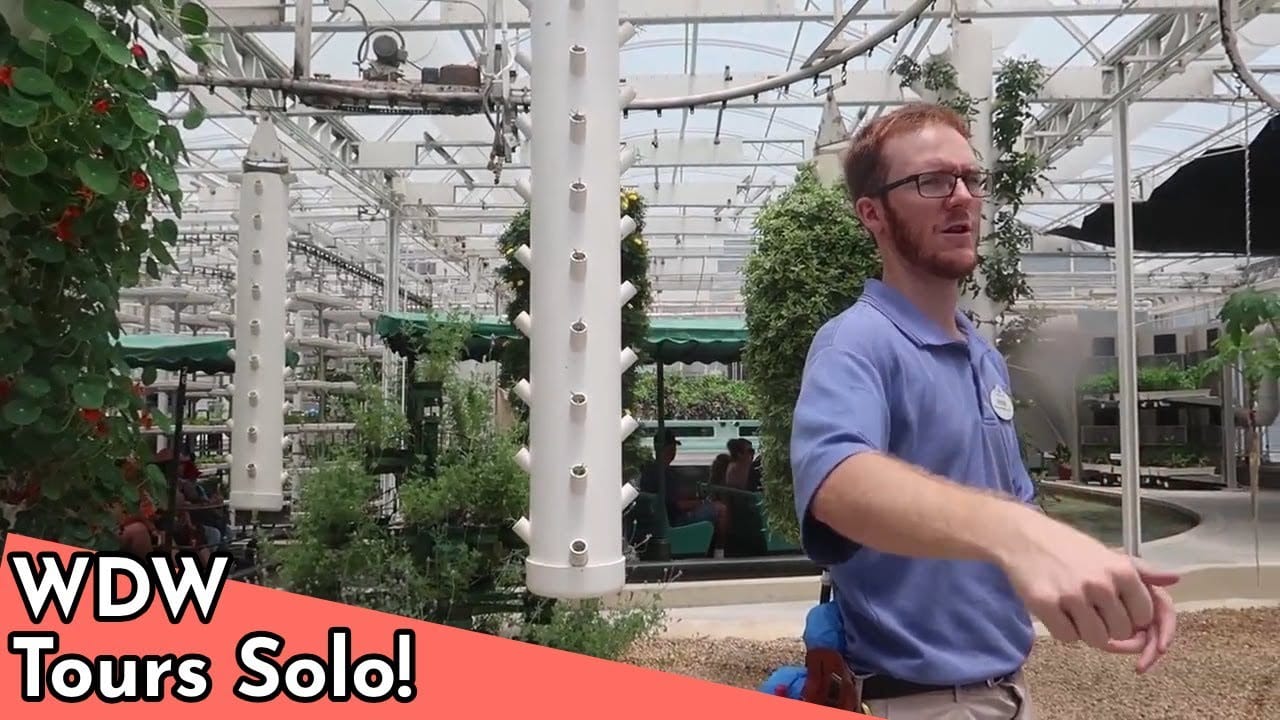 What It's Like to Go On a Disney World Tour Solo