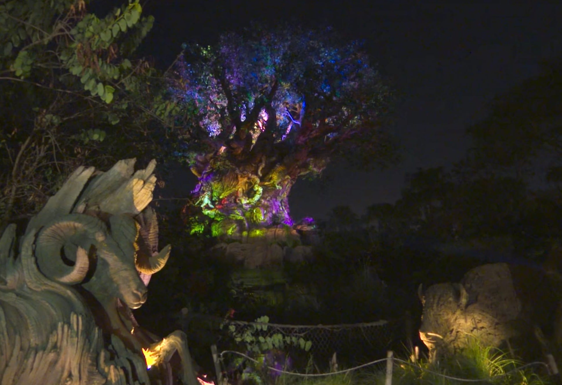 VIDEO: Select Scenes From Disney's Animal Kingdom's New Tree of Life Awaking Projection Shows
