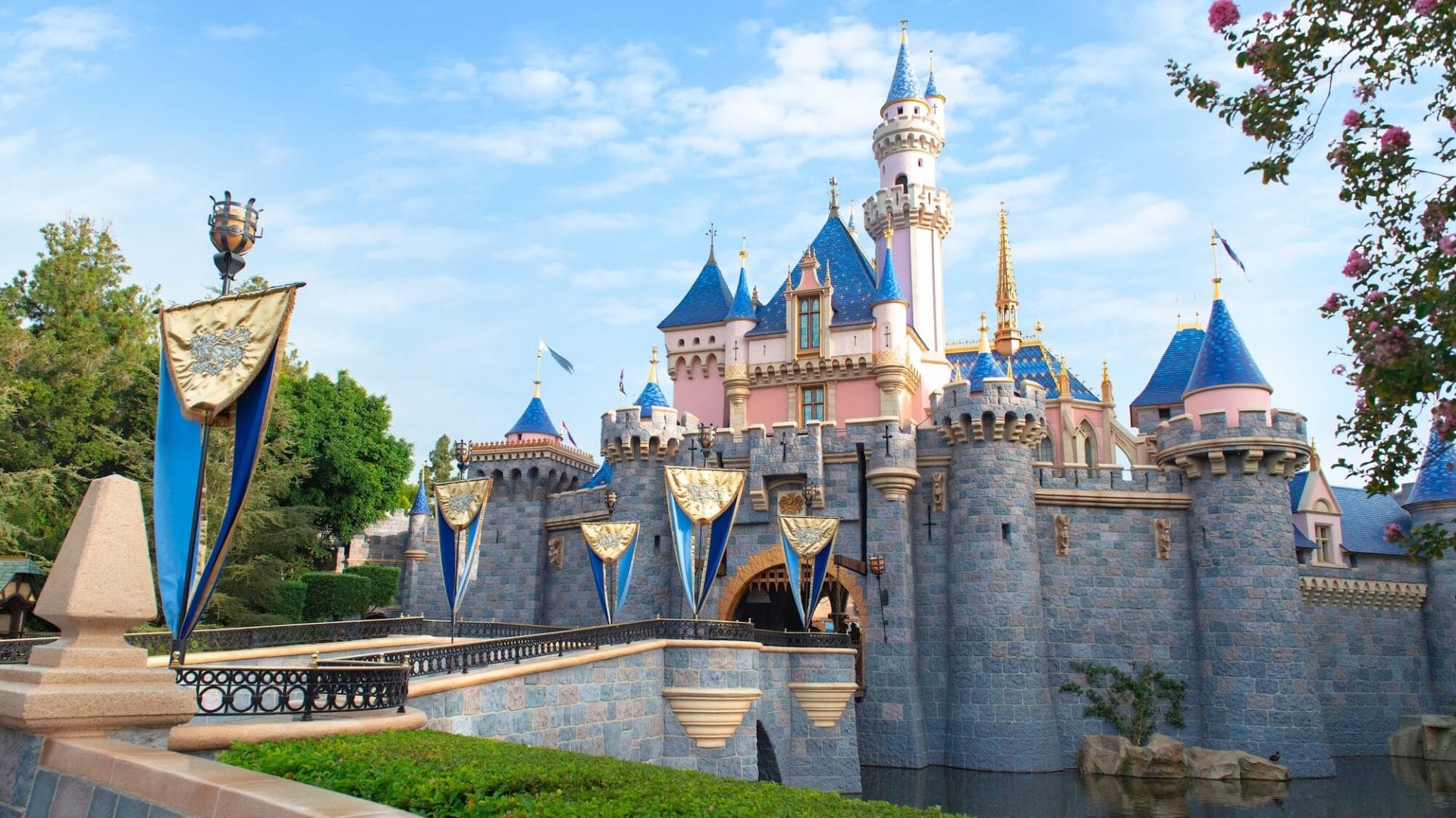 Disney Extending Premier Passports on a 30 Days Rolling Basis until Disneyland Resort Reopens When a Full Extension To Be Made When California Parks Reopen