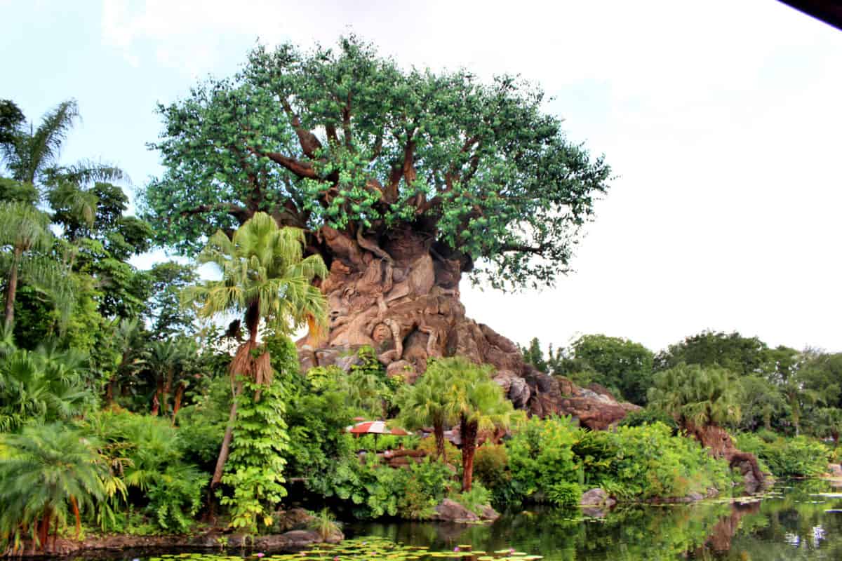 Updated Entertainment Coming to Disney's Animal Kingdom