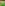 First Look at New Mural Coming to Tiana’s Bayou Adventure
